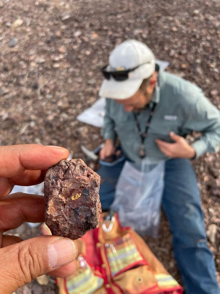 MineOro Explorations Finds Gold